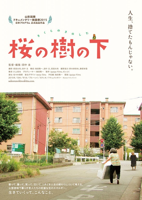 桜の樹の下