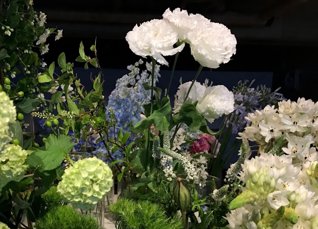 植物のある暮らし
