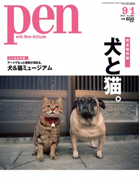犬と猫。