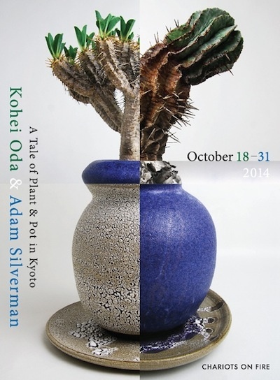 grafted adam silverman 叢 限定品 サボテン 多肉植物 鉢 grafted adam