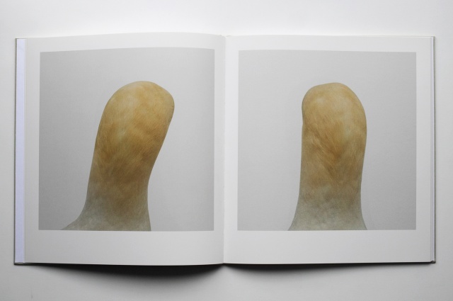 Vol.11 いつもと違った目線で、“気付き”を与えてくれるアートブック