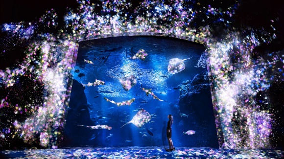 夜の水族館に、魚たちの動きに合わせて変化する、巨大アート空間が登場。
