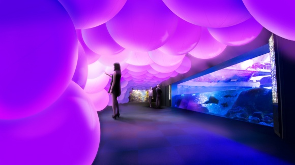 夜の水族館に、魚たちの動きに合わせて変化する、巨大アート空間が登場。