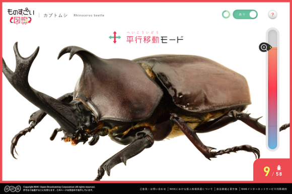カブトムシをクルクル回して観察!? 「チームラボ」が手がけたインタラクティブ図鑑が話題です!