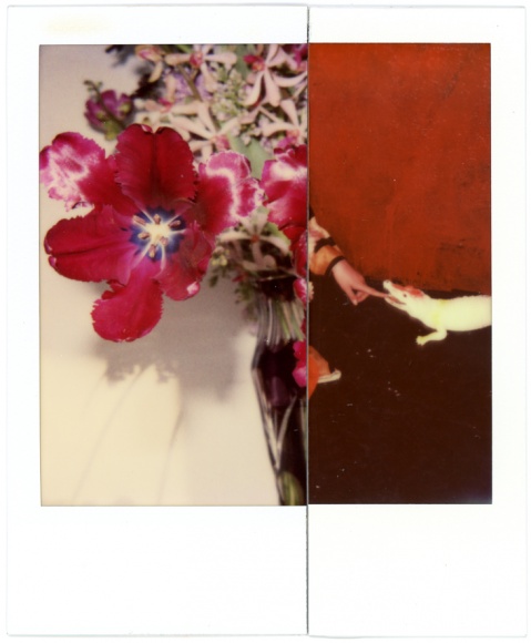 アラーキーのインスタントフィルム写真展「結界」は、新しいアートスペース「AM」にて。