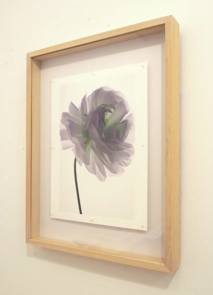 写真家・林雅之が至近距離から捉えた、“花”の生命力を感じる展覧会